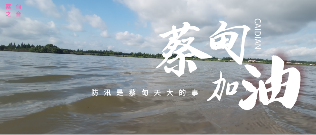 蔡甸區(qū)啟動(dòng)防汛ⅰ級(jí)應(yīng)急響應(yīng)，做好鋪土釘防汛木樁工作