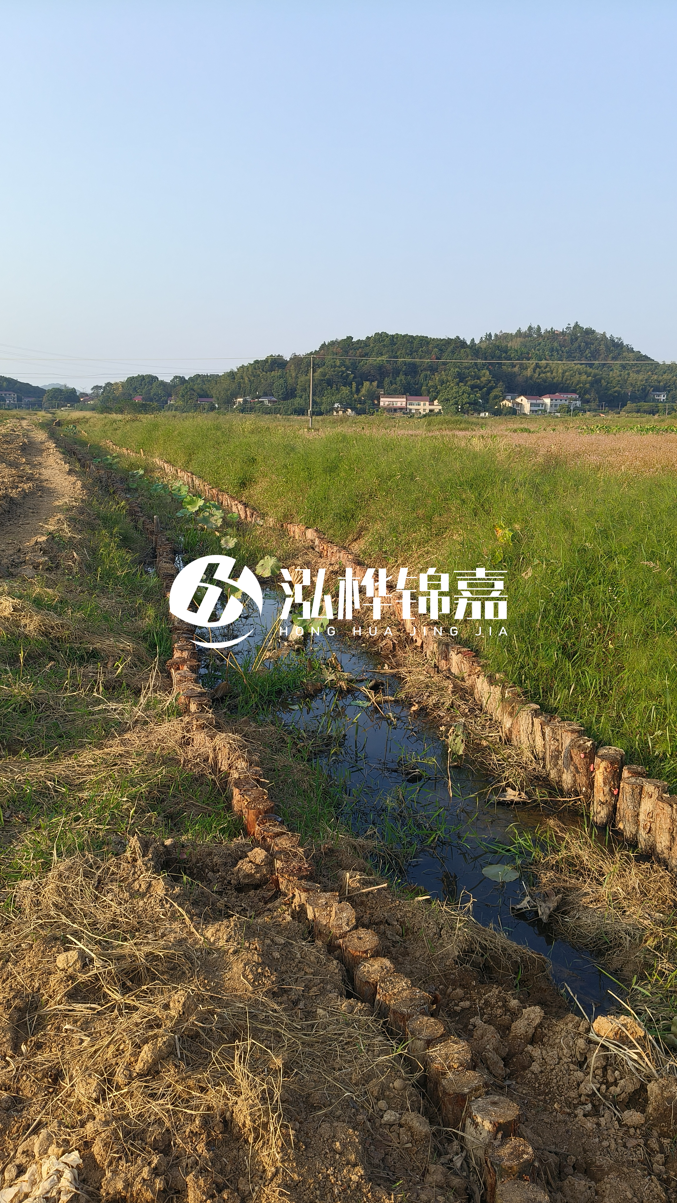 河道護(hù)坡打木樁的目的全解析：你知道幾個(gè)？
